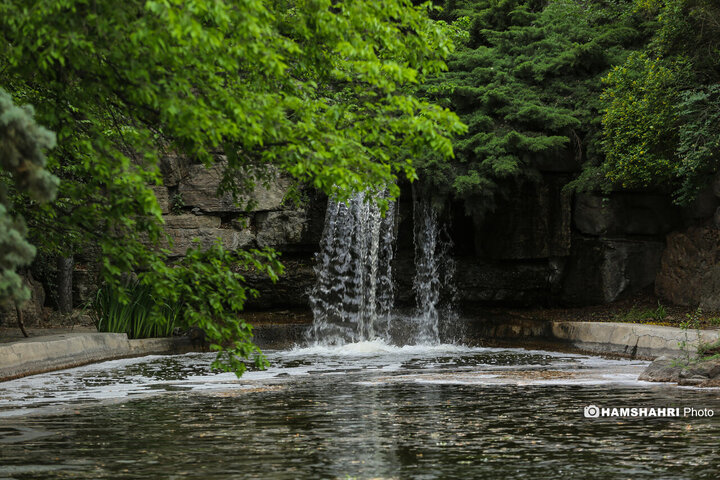 طبیعت زیبای بهار در باغ گیاه شناسی ملی ایران
