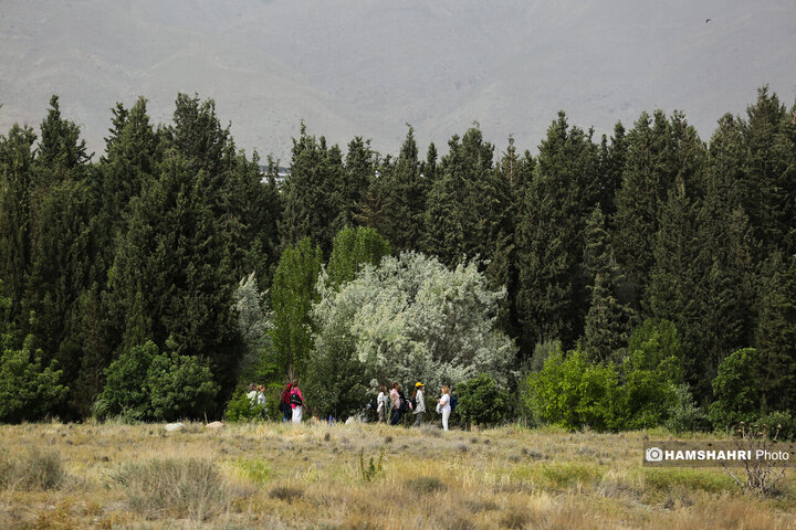 طبیعت زیبای بهار در باغ گیاه شناسی ملی ایران