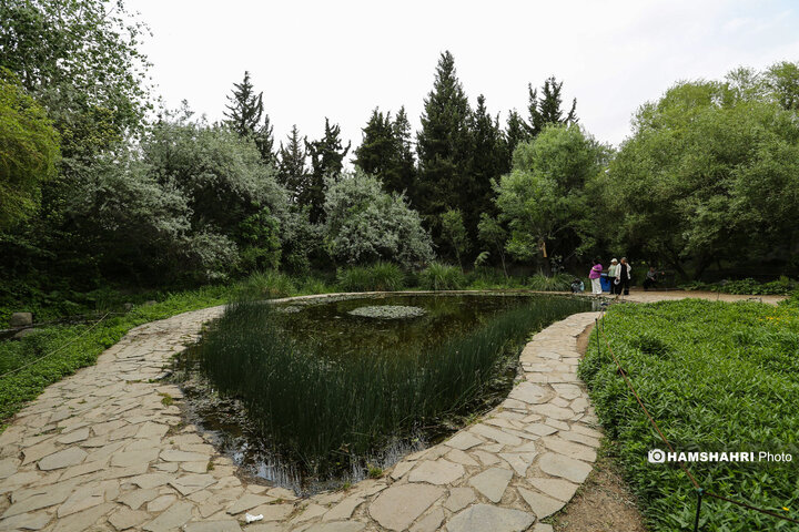 طبیعت زیبای بهار در باغ گیاه شناسی ملی ایران