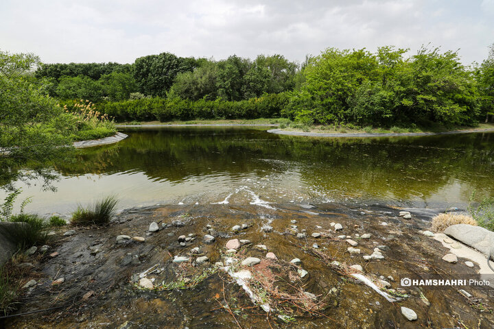طبیعت زیبای بهار در باغ گیاه شناسی ملی ایران