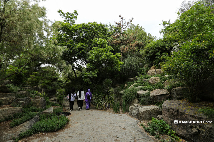طبیعت زیبای بهار در باغ گیاه شناسی ملی ایران