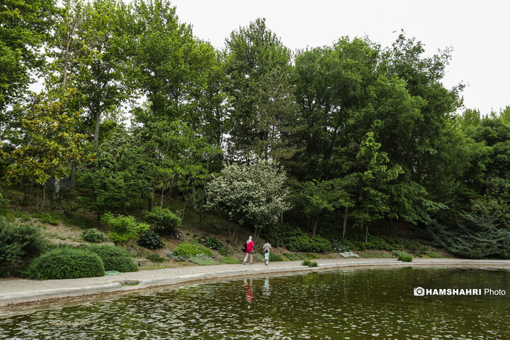 طبیعت زیبای بهار در باغ گیاه شناسی ملی ایران
