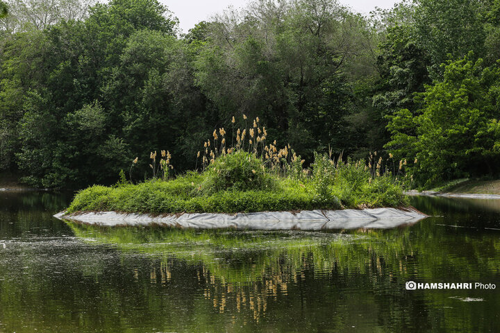طبیعت زیبای بهار در باغ گیاه شناسی ملی ایران