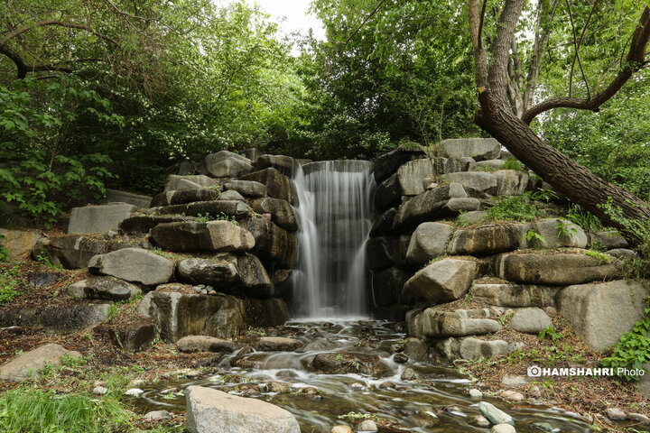 طبیعت زیبای بهار در باغ گیاه شناسی ملی ایران