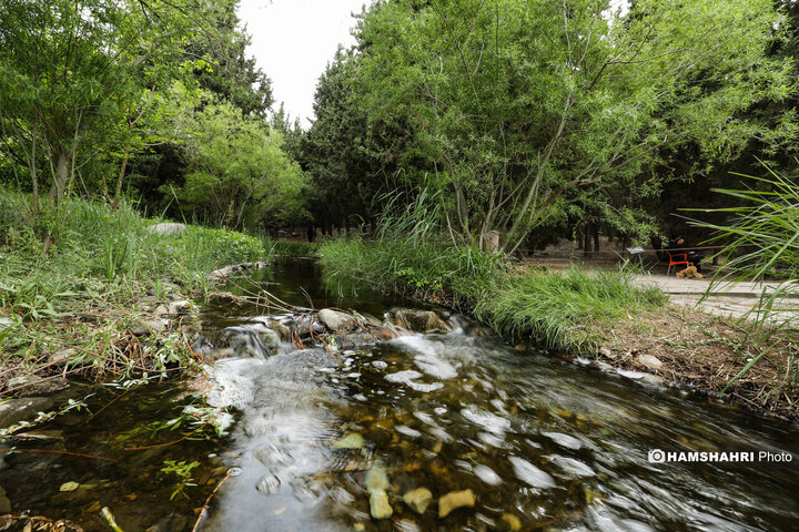 طبیعت زیبای بهار در باغ گیاه شناسی ملی ایران