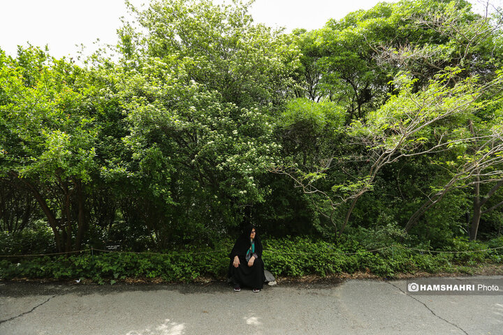 طبیعت زیبای بهار در باغ گیاه شناسی ملی ایران