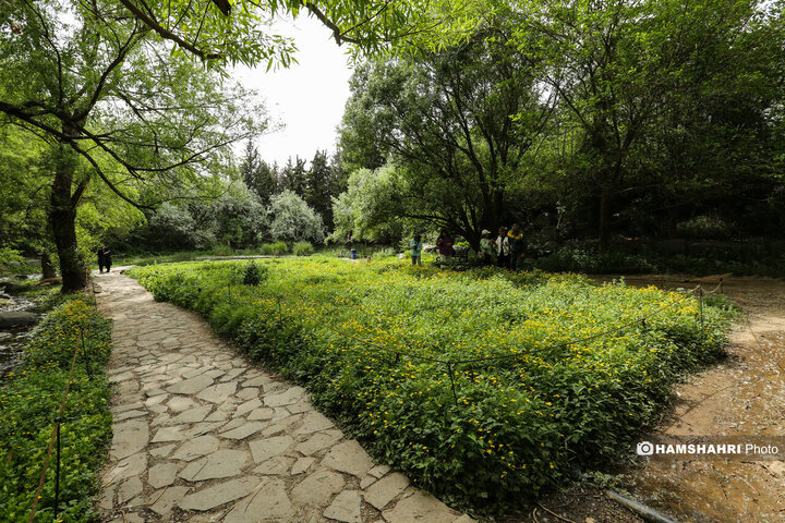 طبیعت زیبای بهار در باغ گیاه شناسی ملی ایران
