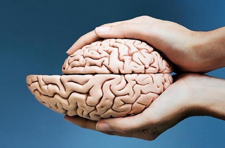 برطرف نشدن نیازهای مغز چه تاثیری روی ما میگذارد؟ | ۳ نیاز اساسی مغز نیازهای مغز