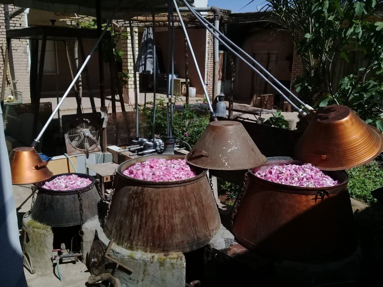 کارگاه گلابگیری در خانه