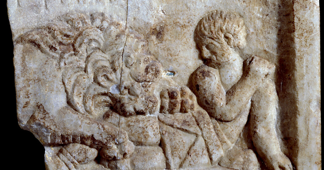 رمزگشایی از یک اسکلت ۱۸۰۰ساله | اسرار تلخ برد با شیر در گورستان گلادیاتورها