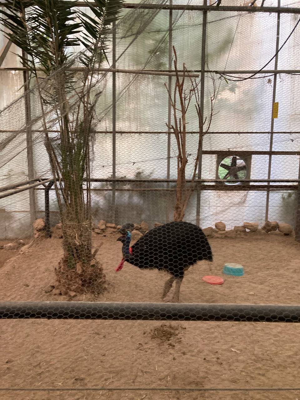 سفر به سبک ارسطو