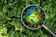 چرا مسموم می‌شویم؟