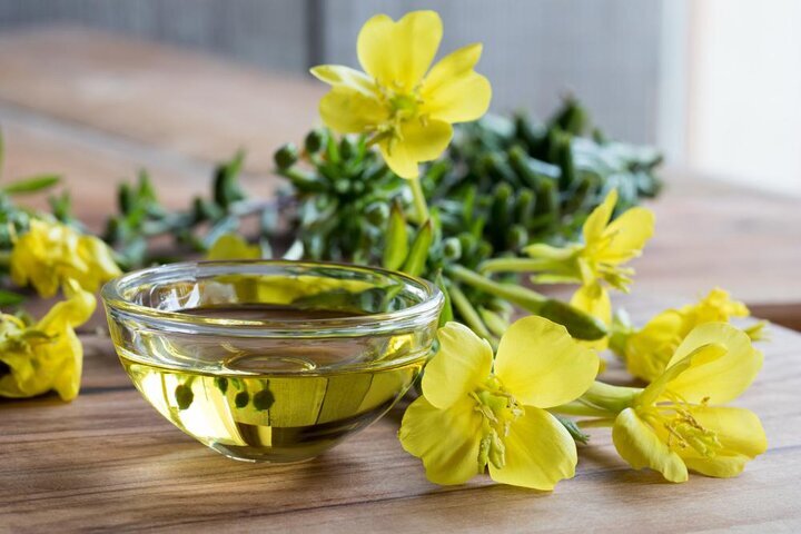 فواید روغن گل مغربی چیست؟