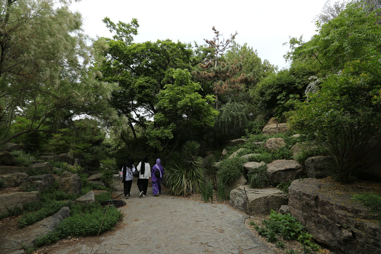 گشت و گذار بهاری در بزرگترین باغ خاورمیانه در تهران