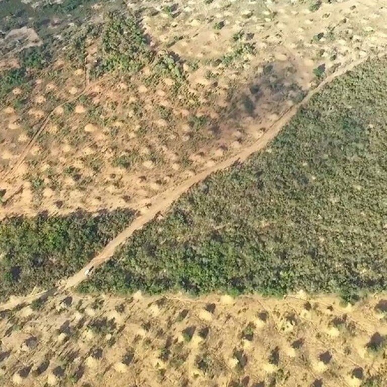 خانههای ۴ هزارسالۀ «حشرات» که از فضا دیده میشوند! | عکس