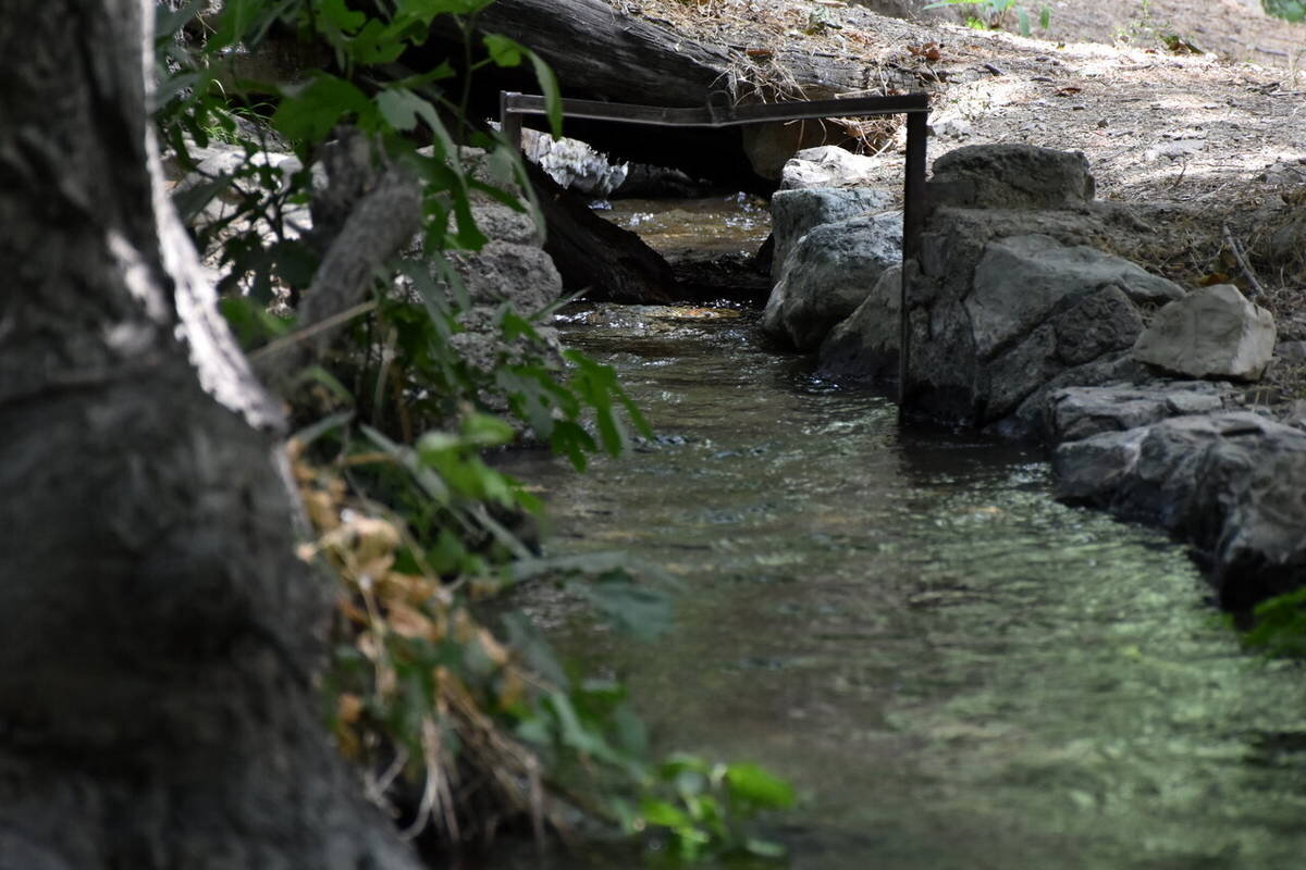 ارثیه گرانبها پنهان زیر پای برج‌­ها