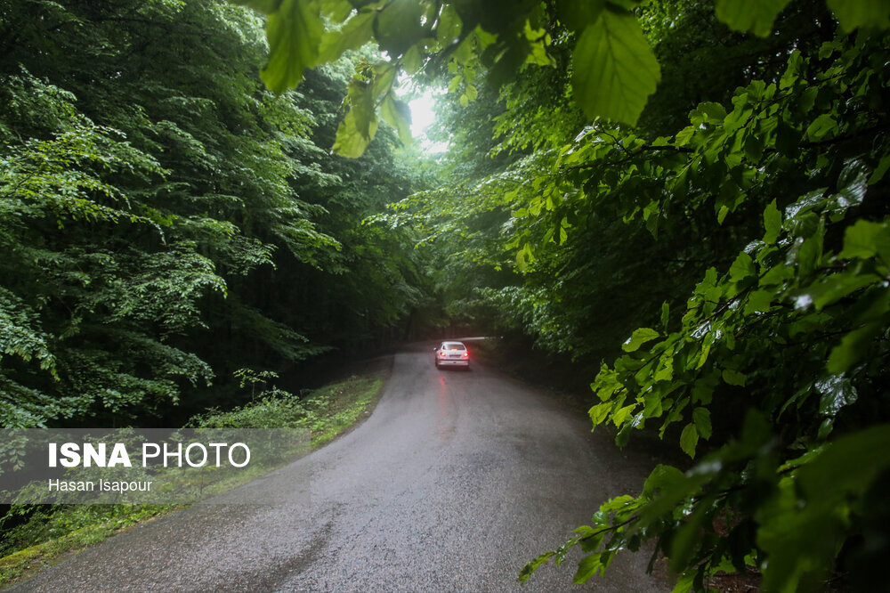 سفر یک روزه به کجای مازندران برویم ؟ ؛ راهنمای سفر به زیراب سوادکوه + عکس شهر زیراب سوادکوه
