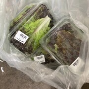 سالاد کاهو اسکناس/ کباب و دیزی با دورچین بِیبی‌اسفناج