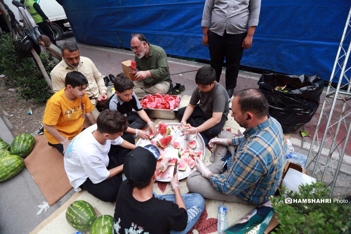 جشن بزرگ امام رضایی ها در تهران