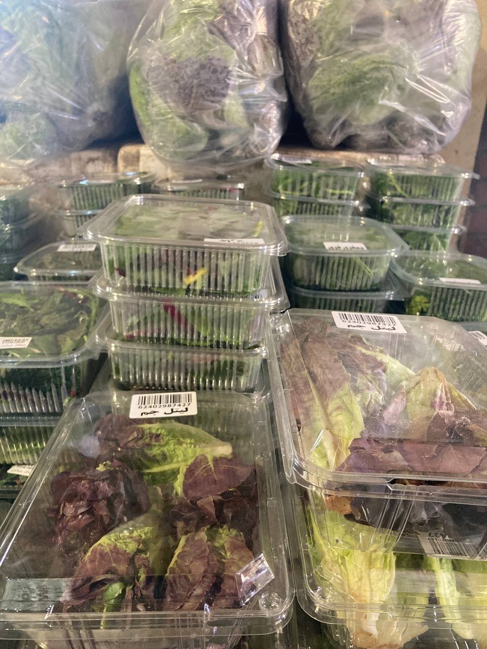 سالاد کاهو اسکناس/ کباب و دیزی با دورچین بِیبیاسفناج