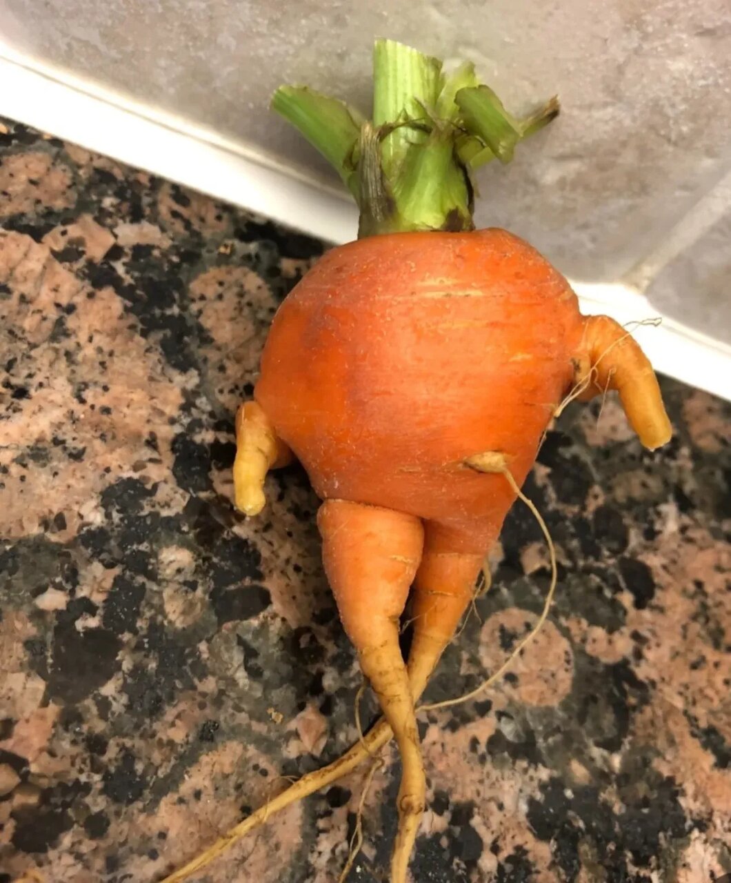 استوری عجیب رضا عطاران برای تولدش!/عکس