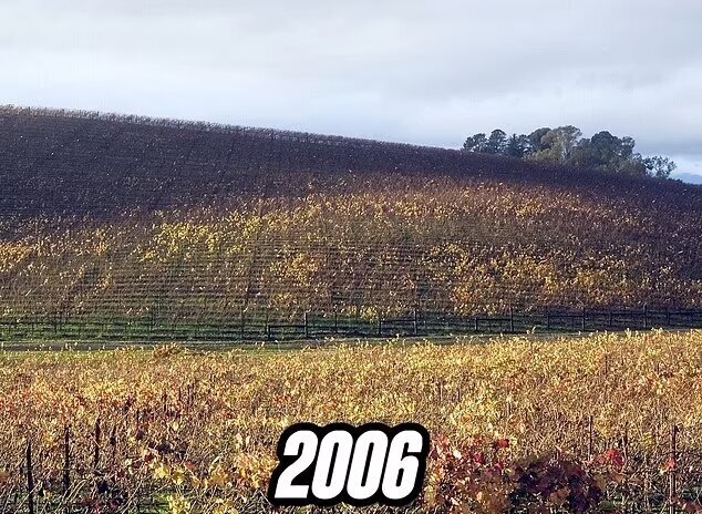 سرنوشت غمانگیز پربینندهترین عکس تاریخ!