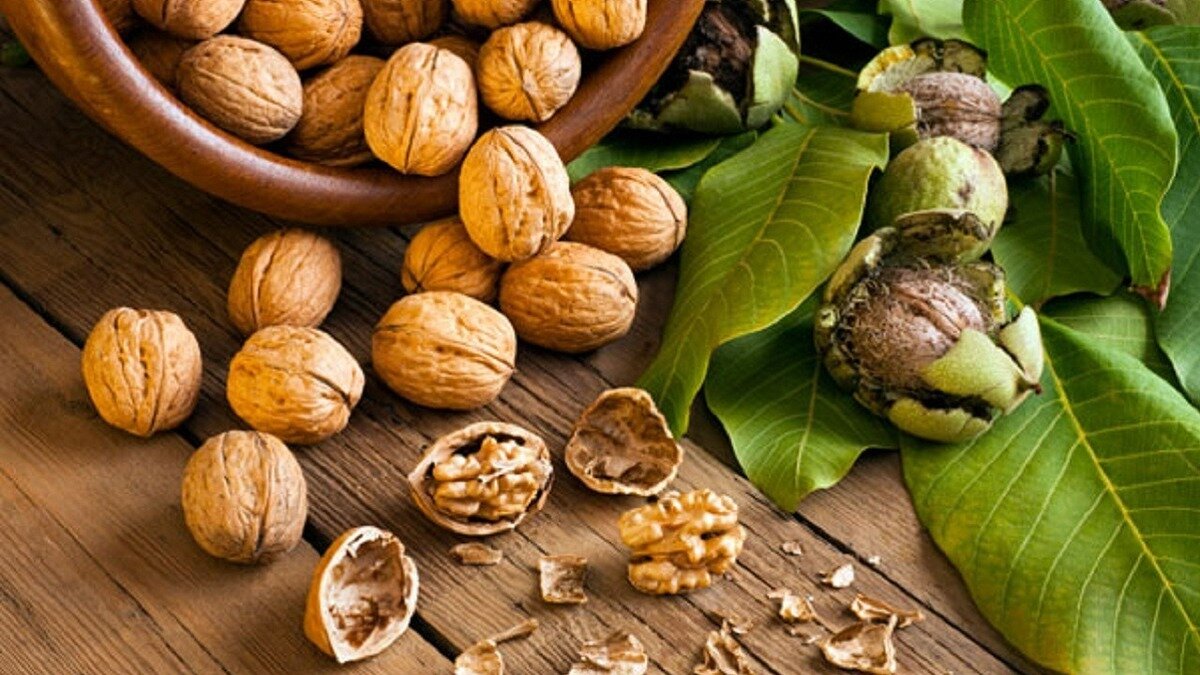 با مصرف گردو خطر ابتلا به این سرطان را کاهش دهید