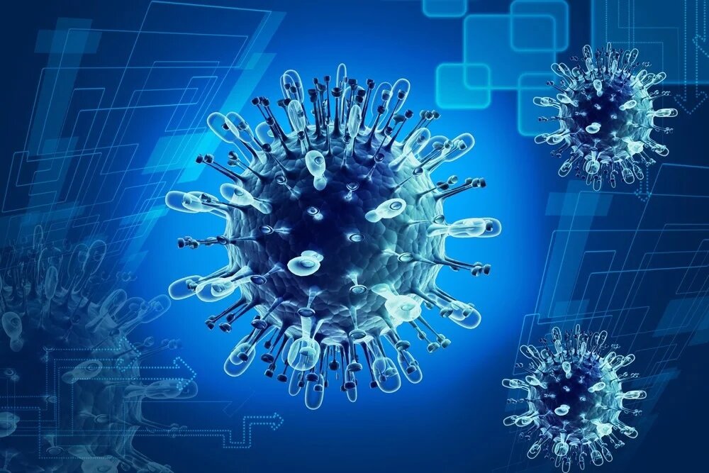 چاق یا لاغر، فرقی نمیکند؛ کووید بلندمدت در کمین است!