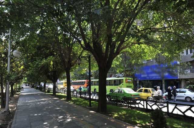 آشنایی با مسیرهای پیادهروی پایتخت در فصل شکوفه ها