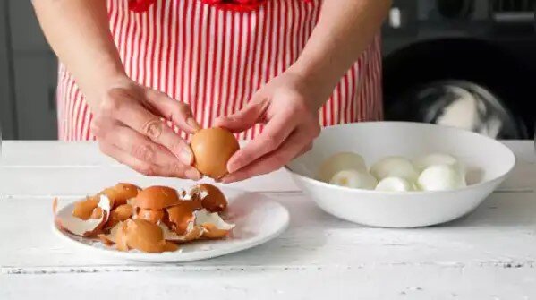 این چربیها شما را سالم نگه میدارند