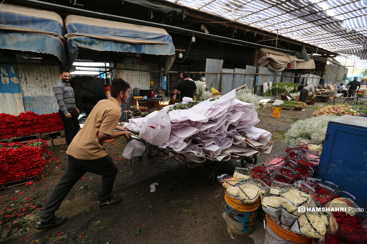 پایش میدانی ایمنی و آتش نشانی ساختمان های ناایمن شهر تهران