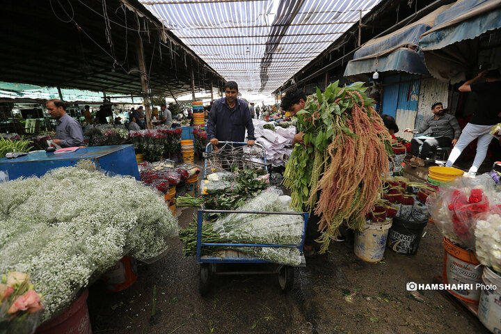 پایش میدانی ایمنی و آتش نشانی ساختمان های ناایمن شهر تهران