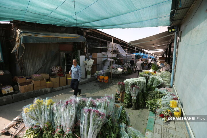 پایش میدانی ایمنی و آتش نشانی ساختمان های ناایمن شهر تهران