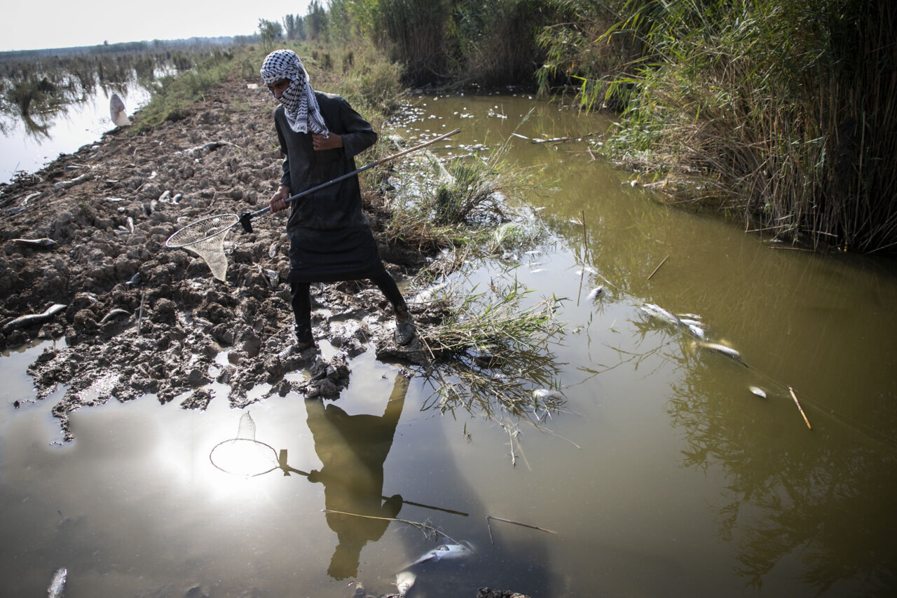 کوچ اجباری از هورالعظیم | هور احیا شدنی است؟