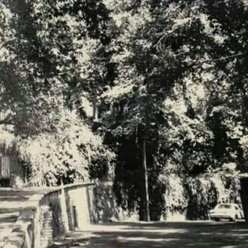 ماجرای قناتی که هم از کاخ شاه میگذشت هم از قهوهخانهها