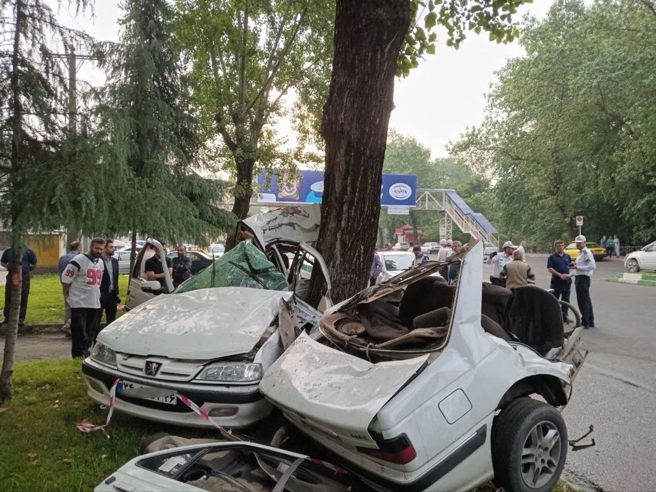 برخورد هولناک پژو با درخت | ۳ نفر جان باختند + تصاویر