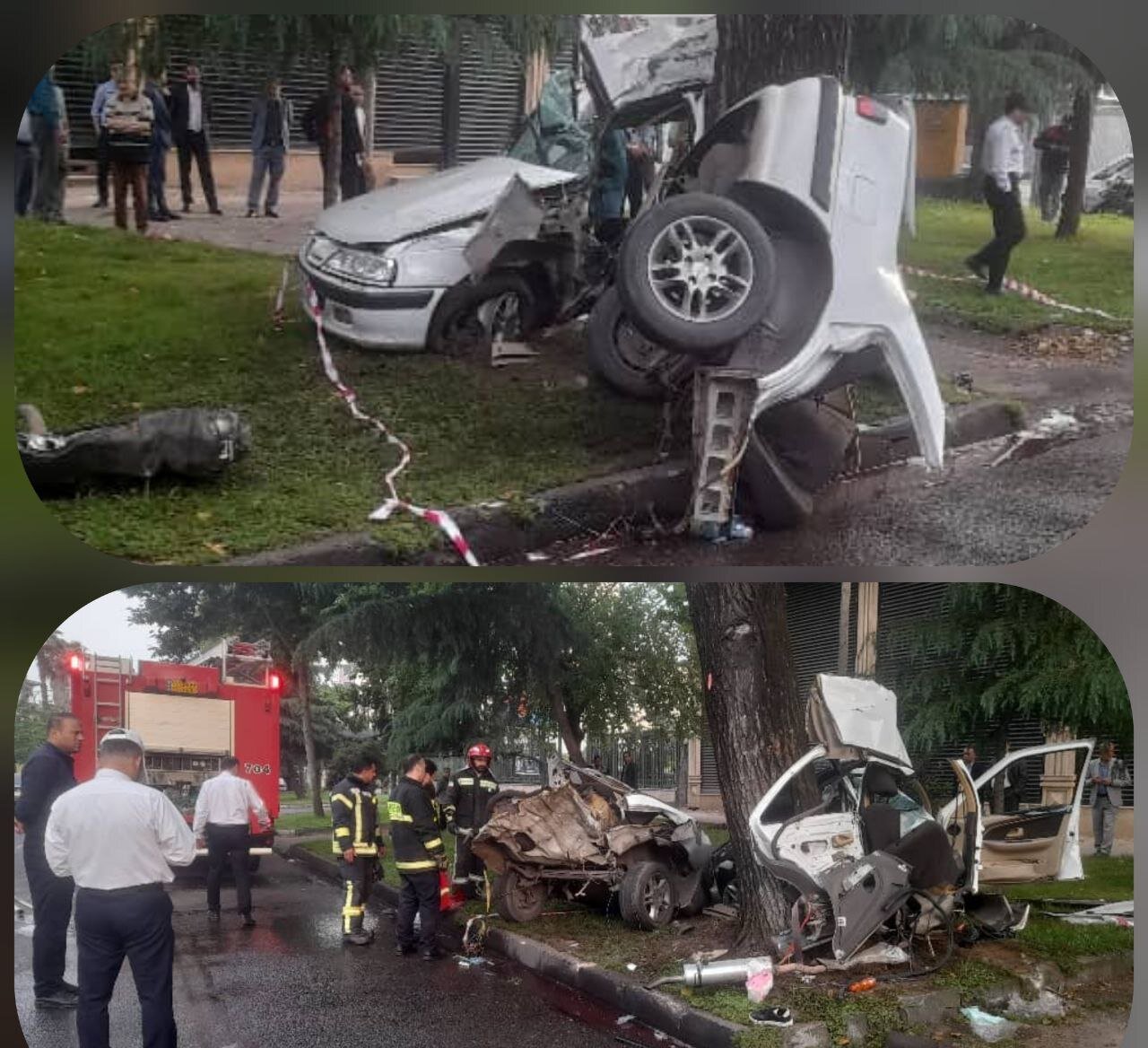 برخورد هولناک پژو با درخت | ۳ نفر جان باختند + تصاویر