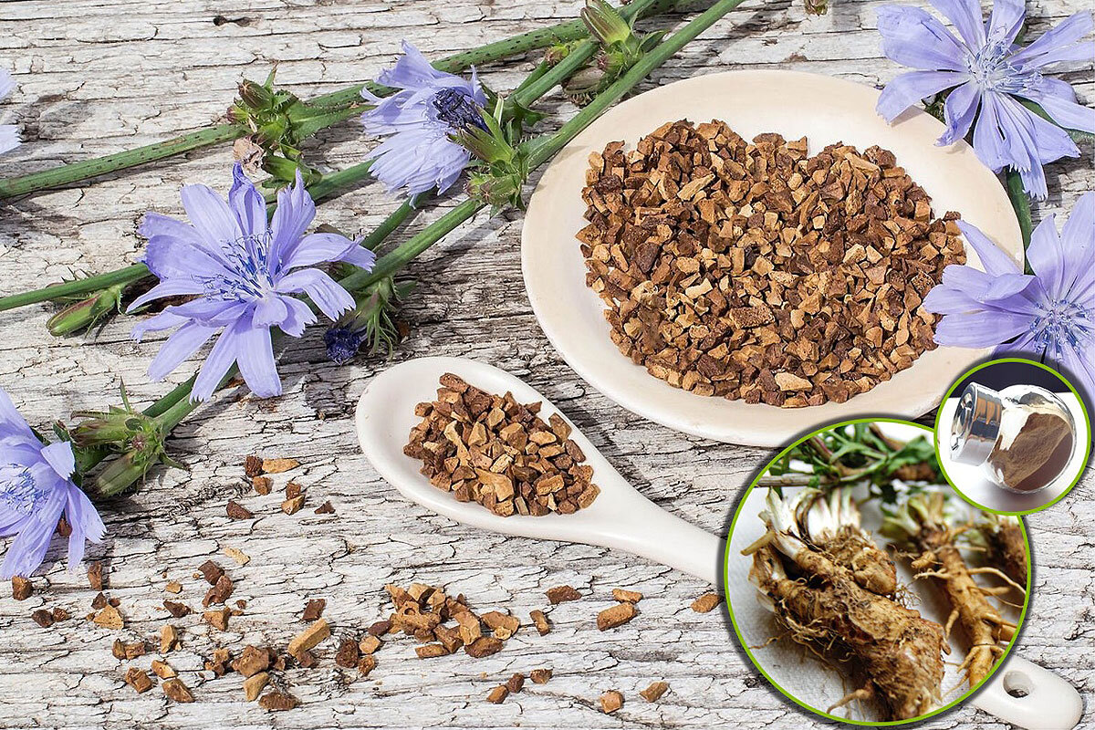 گیاه کاسنی برای چی خوبه ؟ ؛ خواص درمانی و نحوه کشت گیاه کاسنی + عکس گیاه کاسنی
