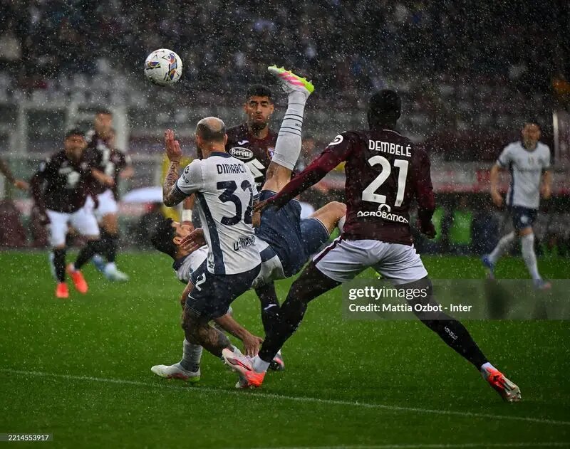 قیچی برگردان طارمی | تصاویر