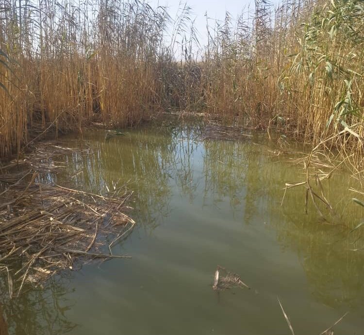 جزئیات نجات دختر ۶ساله از کانال آب توسط تکنسین فداکار اورژانس