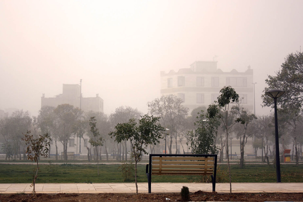 برای مقابله با آلودگی هوا چی بخوریم ؟ ؛ بهترین میوه و ویتامین ها برای روزهای آلوده