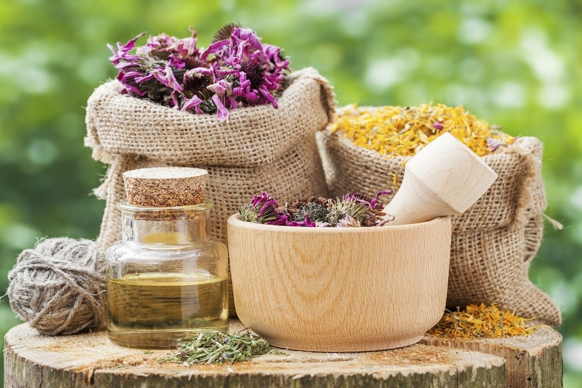 آیا گیاهان دارویی به بهبود ریزش مو کمک می‌کنند؟