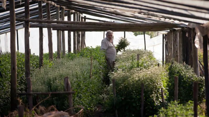 «فقیرترین رئیس جمهور جهان» درگذشت + تصاویر