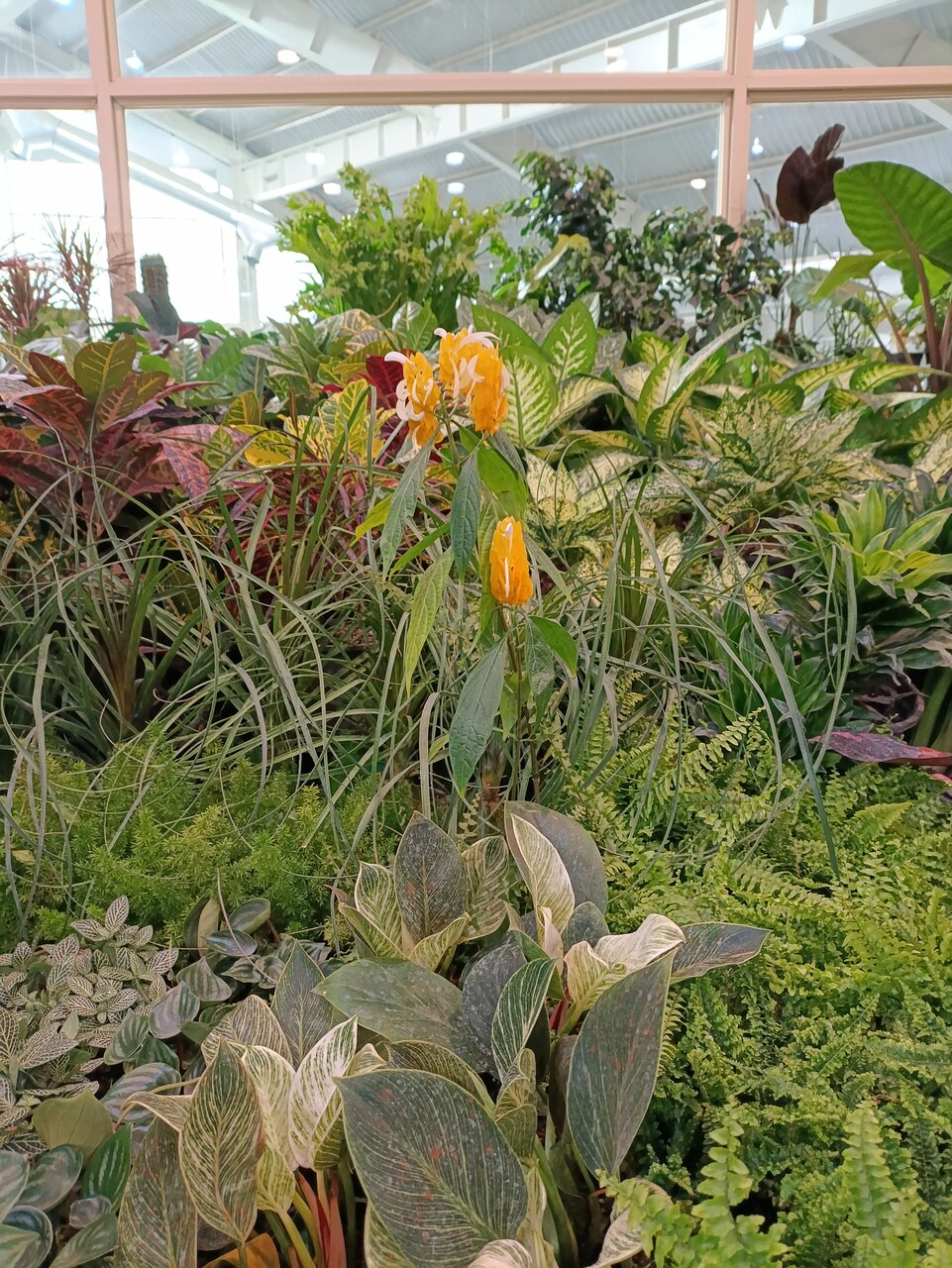 خاصترین محصولات نمایشگاه گل و گیاه بوستان گفتگو را بشناسید