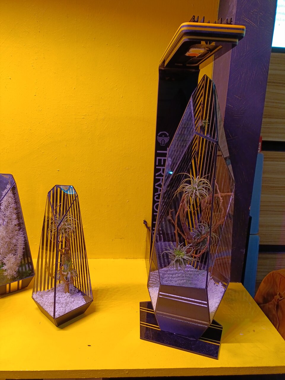 خاصترین محصولات نمایشگاه گل و گیاه بوستان گفتگو را بشناسید