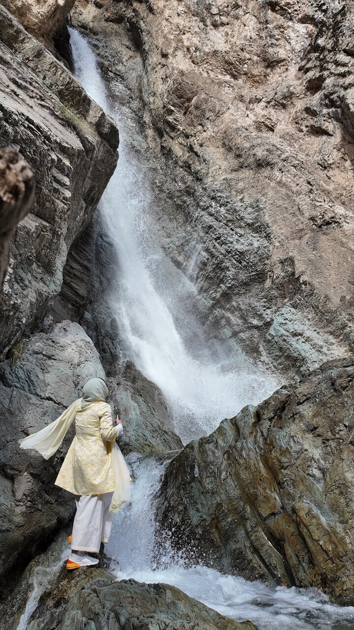 راویان شکوفهها | مرغوبترین گیلاس ایران اینجاست