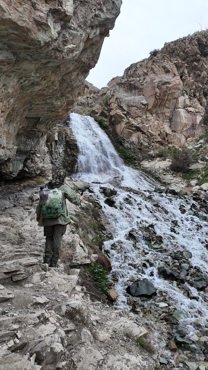 چشمه هایی که بوی شکوفه می دهند