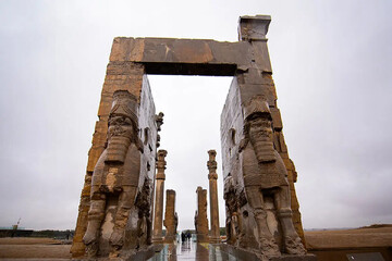 دلیل یادگاری نویسی روی تخت جمشید چه بود؟ | این تیپ شخصیت‌ها برای آثار تاریخی خطرناک هستند