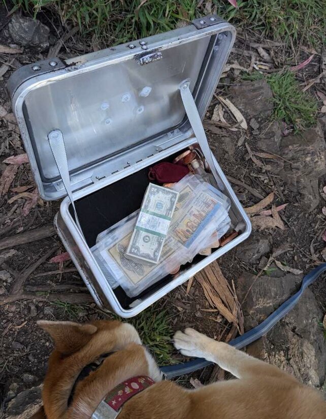 یک شکارچی گنج با استفاده از «نقشه گنج اینترنتی» موفق به کشف گنجینه 10 هزار دلاری شد | عکس