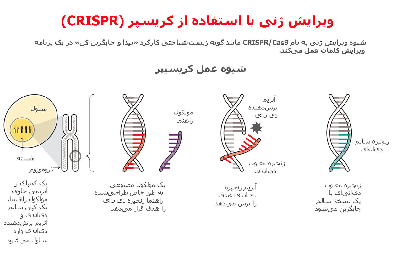 درمان نوزادی با ژن شخصی‌سازی‌ شده